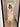 #color_Rose